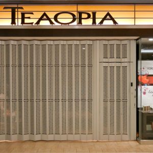 Storefront Security Door AS350 Sliding TEAOPIA